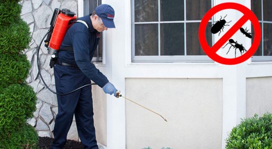 Iğdır Dezenfeksiyon böcek ilaçlama ve haşere kontrolü — ilaclama-tr.com